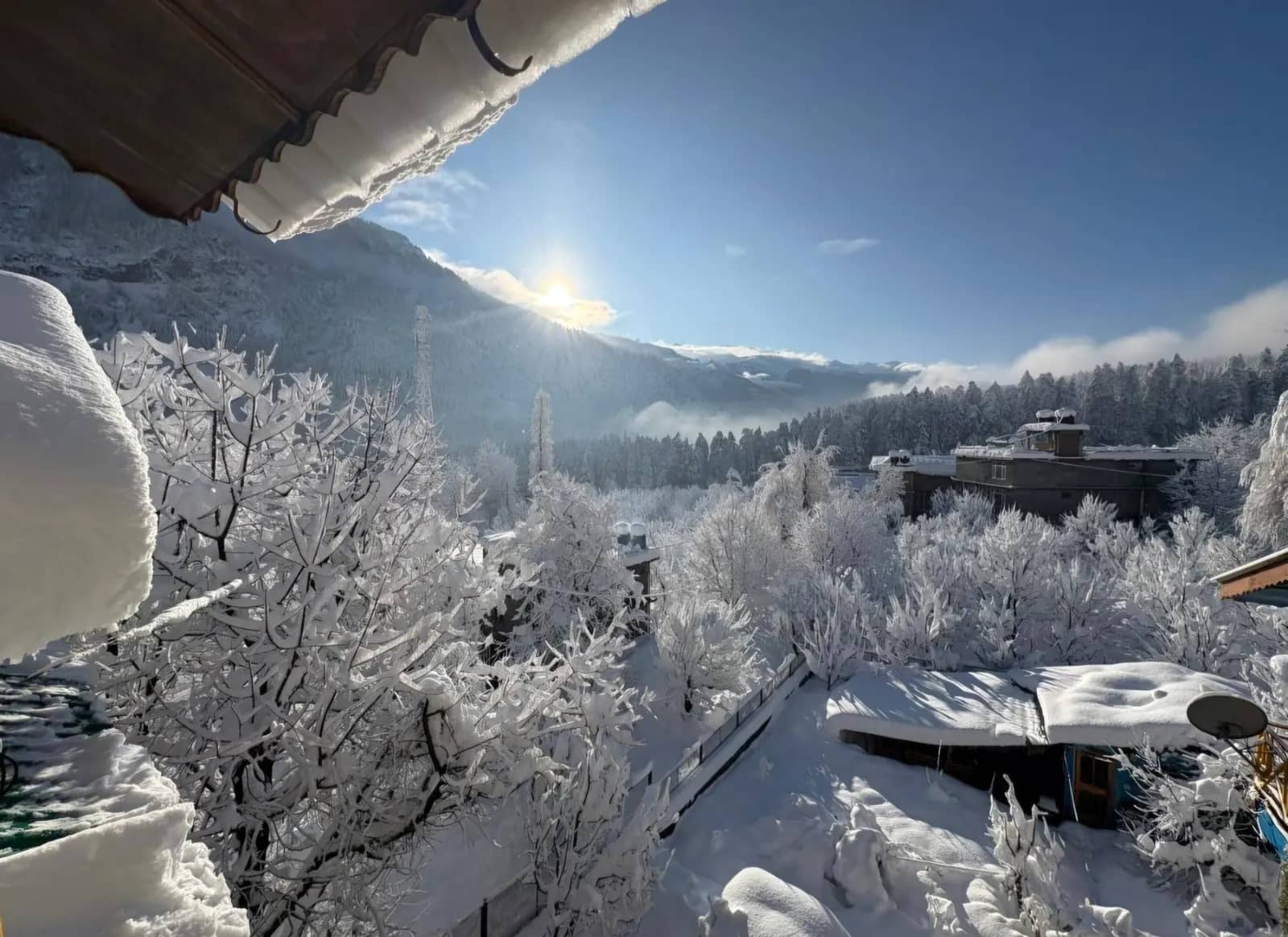 manali '26